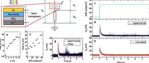 A cross-sectional diagram of the photosensitive capacitor used in this study as a retinomorphic sensor