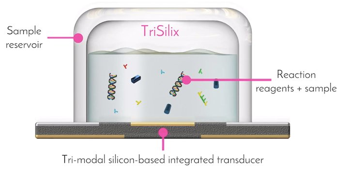 TriSilix architecture