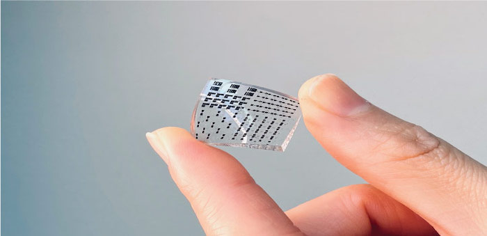 An image of someone holding a piece of electronic skin created by KAUST
