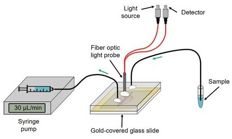 Here, green arrows show the direction that the sample moves through the chip