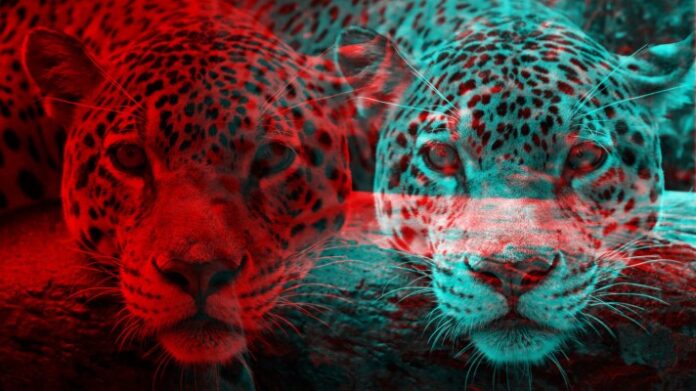 This insurtech alleges its venture backer founded and funded a copycat: a founder’s “nightmare”