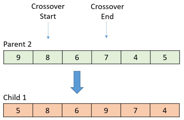 Hyperedge- , PCB Design, Hardware Design, Electronics Design, When the swap is complete, the large arrow moves to the next gene to cross over.