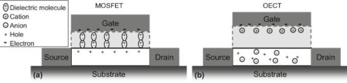 The MOSFET vs. the OECT.