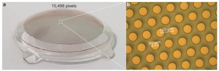 The (a) high-density prosthesis designed by researchers at EPFL, with an active working area of 13 mm in diameter, contains nearly (b) 10,500 photovoltaic pixels.