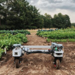 Building a Custom Solution for Farming