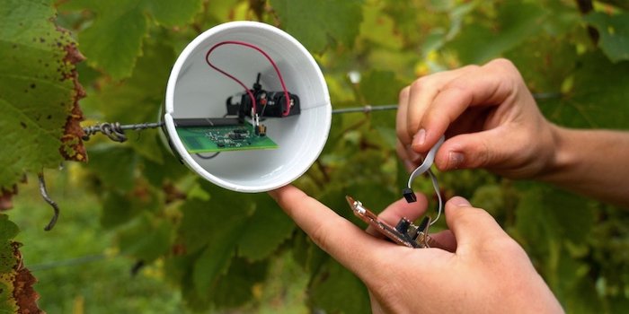 ChipSat and sensor unit