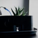 Anthropomorphizing a houseplant with Arduino