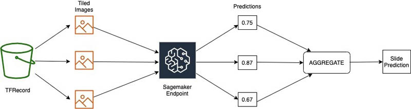 Hyperedge- , PCB Design, Hardware Design, Electronics Design, Hyperedge- . IoT, Embedded Systems, Artificial Intelligence,