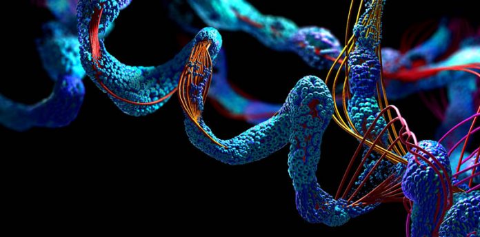 Fine-tune and deploy the ProtBERT model for protein classification using Amazon SageMaker