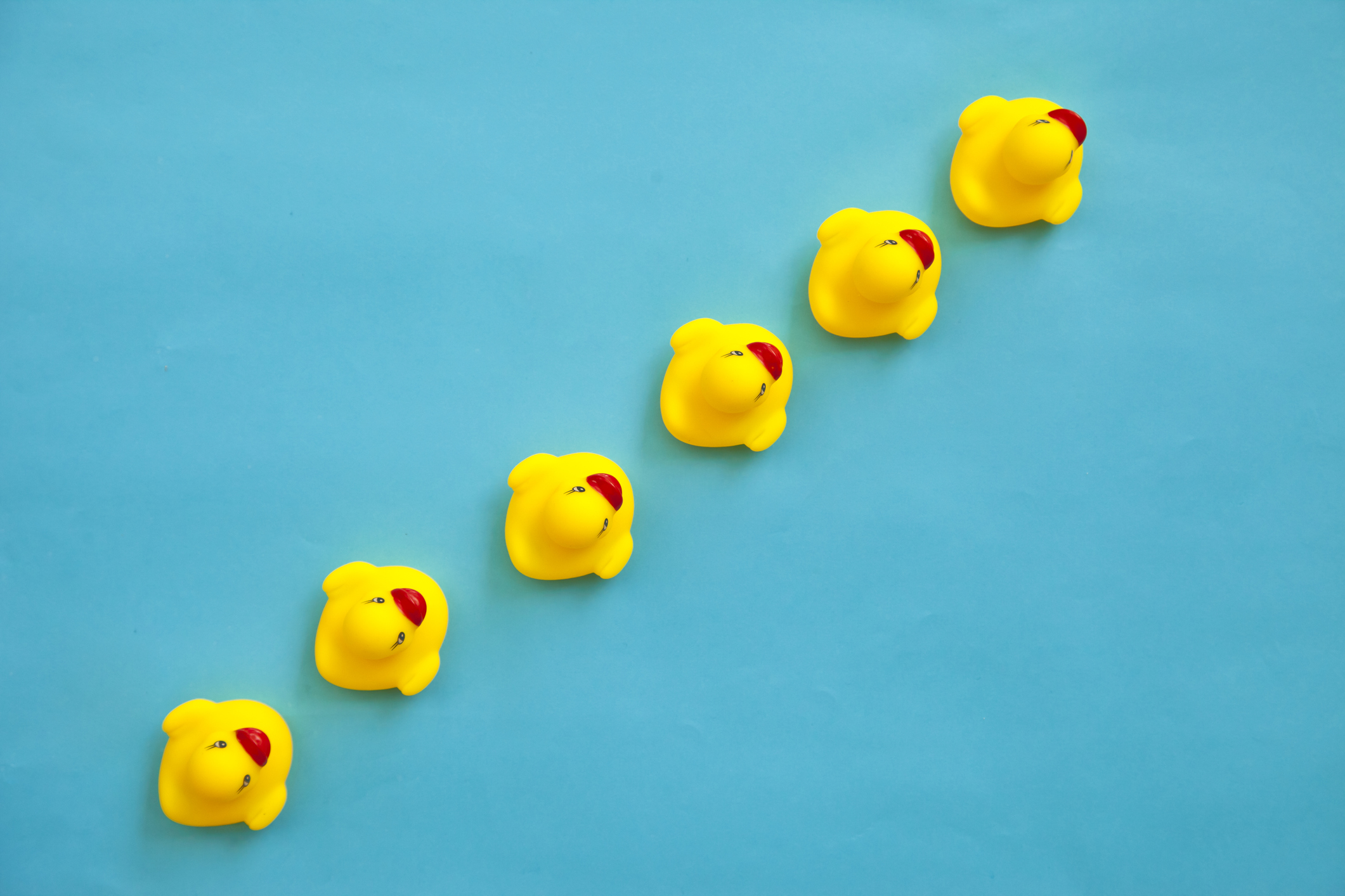 Rubber ducks in a line