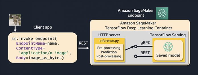 Reduce computer vision inference latency using gRPC with TensorFlow serving on Amazon SageMaker