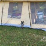This disguised campsite security system lets you know ‘hoos’ there