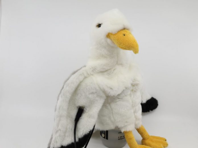 This sensory extension puppet lets you detect magnetic fields like a bird