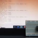 Use tinyML on the Nano 33 BLE Sense to classify different bird calls