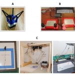 Keeping Things Creative: Real-World Learning from a Remote Perspective