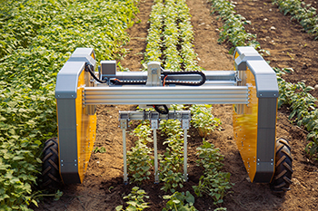 Farmhand Automation&nbsp;all-electric robot weeding fields