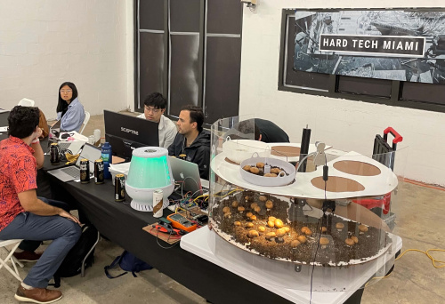 Mushroom Incubator Project
