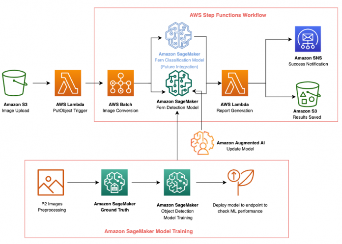 Automated, scalable, and cost-effective ML on AWS: Detecting invasive Australian tree ferns in Hawaiian forests