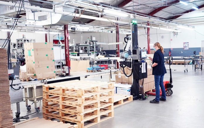 Is Palletizing Robot Speed Fast Enough? The Truth About Fast Robots