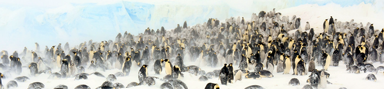 Hyperedge- , PCB Design, Hardware Design, Electronics Design, Mobile robot being use to study penguins in Antarctica.