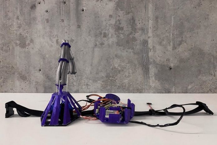 This project lets you experience life with a cybernetic tail