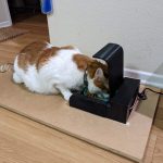 This pet feeder differentiates between animals based on their weight