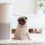 Keep your surroundings safe and clean with building automation