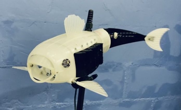 Robo-fish filters microplastics like a whale with krill