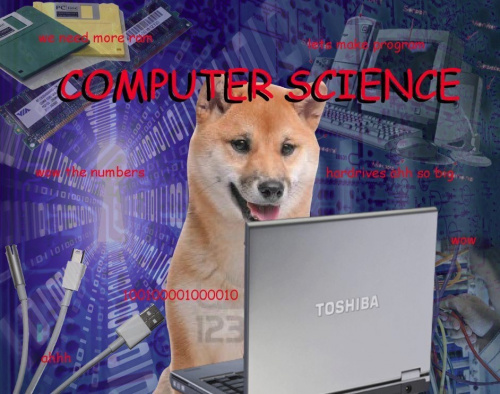 dog meme