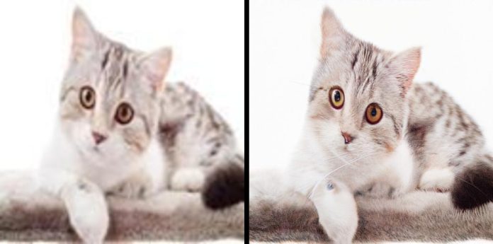 Upscale images with Stable Diffusion in Amazon SageMaker JumpStart