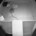 Building a rodent-friendly catch-and-release mousetrap with Arduino