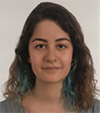 Hyperedge- . IoT, Embedded Systems, Artificial Intelligence,