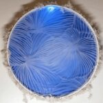 This nature-inspired display reacts to ambient sounds