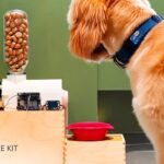 Build your own smart pet feeder with the Arduino Plug and Make Kit