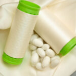 Tecnoseta revives the silk industry with open-source innovation