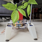 This plant always gets enough sunlight thanks to its robotic legs