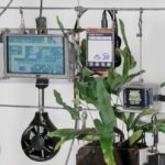Your plants can now play your video games