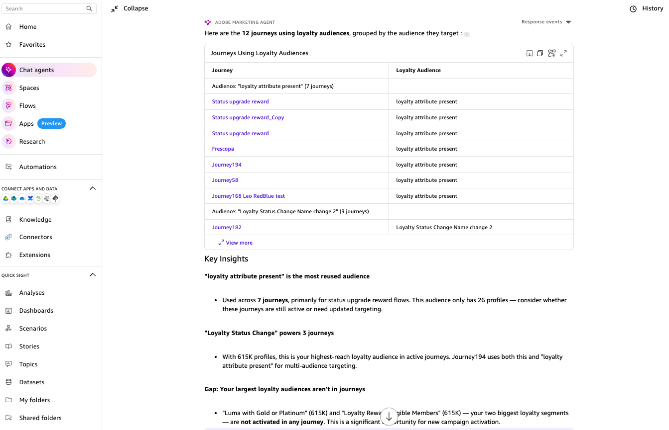 Hyperedge- , PCB Design, Hardware Design, Electronics Design, Table of journeys referencing loyalty audiences with audience name, loyalty attribute, and pattern analysis