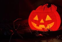 How about a Hallowuino half-dozen?